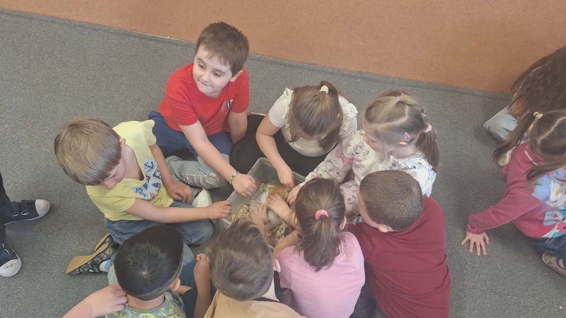 att.lzSfhyOkfg2Yx8-G3deRxSQD wDBXkZI-CUGGuc0OvE.dat