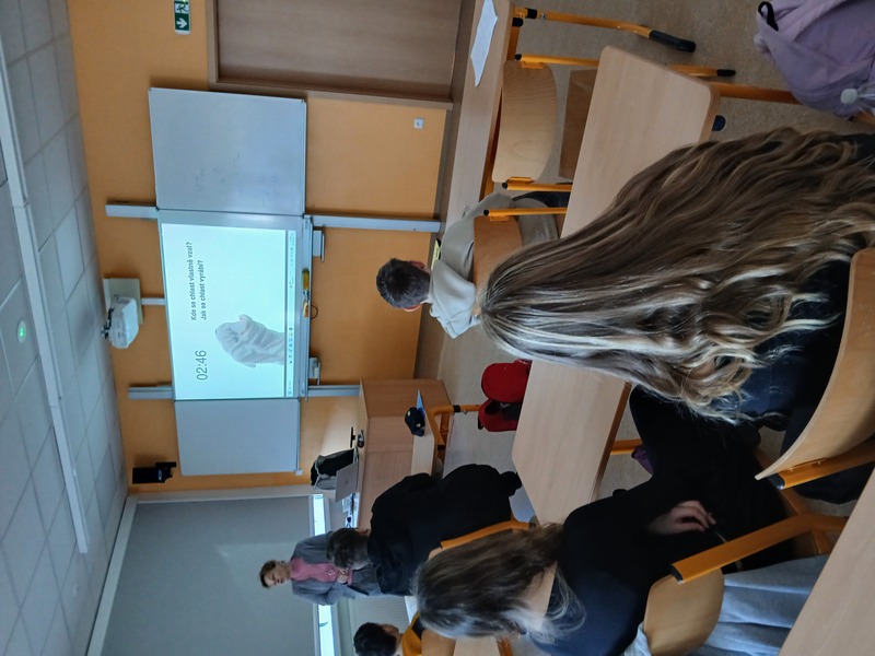 20251218 120850 copy copy