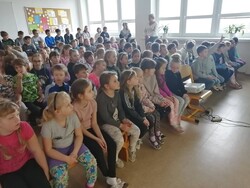 jarni 5