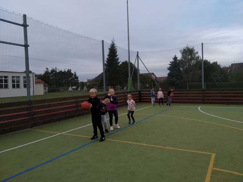 týden basket