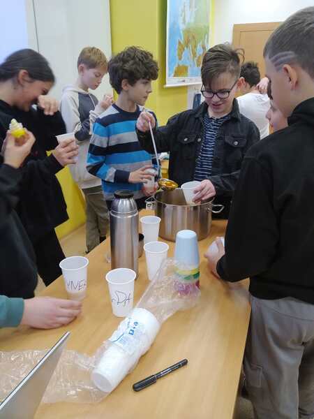 IMG 20241220 083041 zmenšená