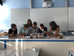 IMG 3648