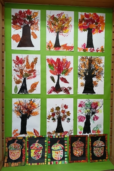 IMG 20251119 082450 427x640 copy