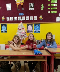 IMG 20251219 083218 529x640